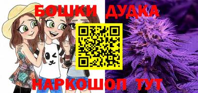 мдпв Малгобек